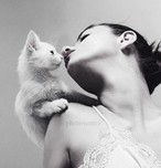 建材家居精品策劃文案（中英雙語）