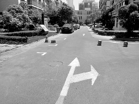 鄭州部分小區公共綠地道路變收費停車場 居民不滿