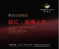 【佛靈山茶葉】長期年度整合營銷策劃