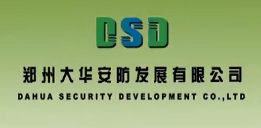 【大華安防】年度整合營銷策劃