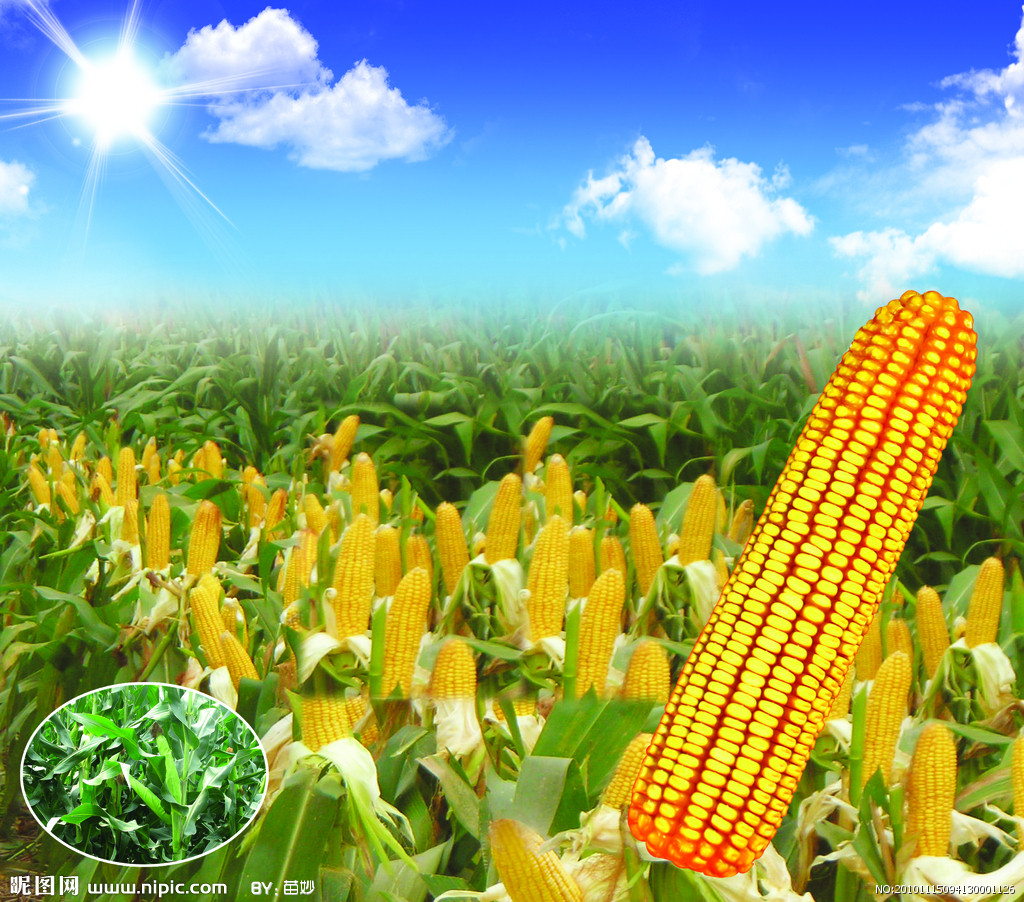 中國農(nóng)資企業(yè)需要深度營銷