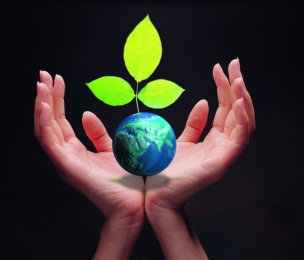 麥肯錫：電子商務將成為中國主要消費潮流