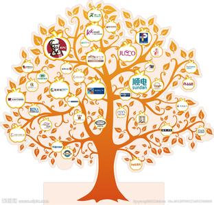 本土品牌與發(fā)達(dá)國(guó)家品牌戰(zhàn)略的六大差異