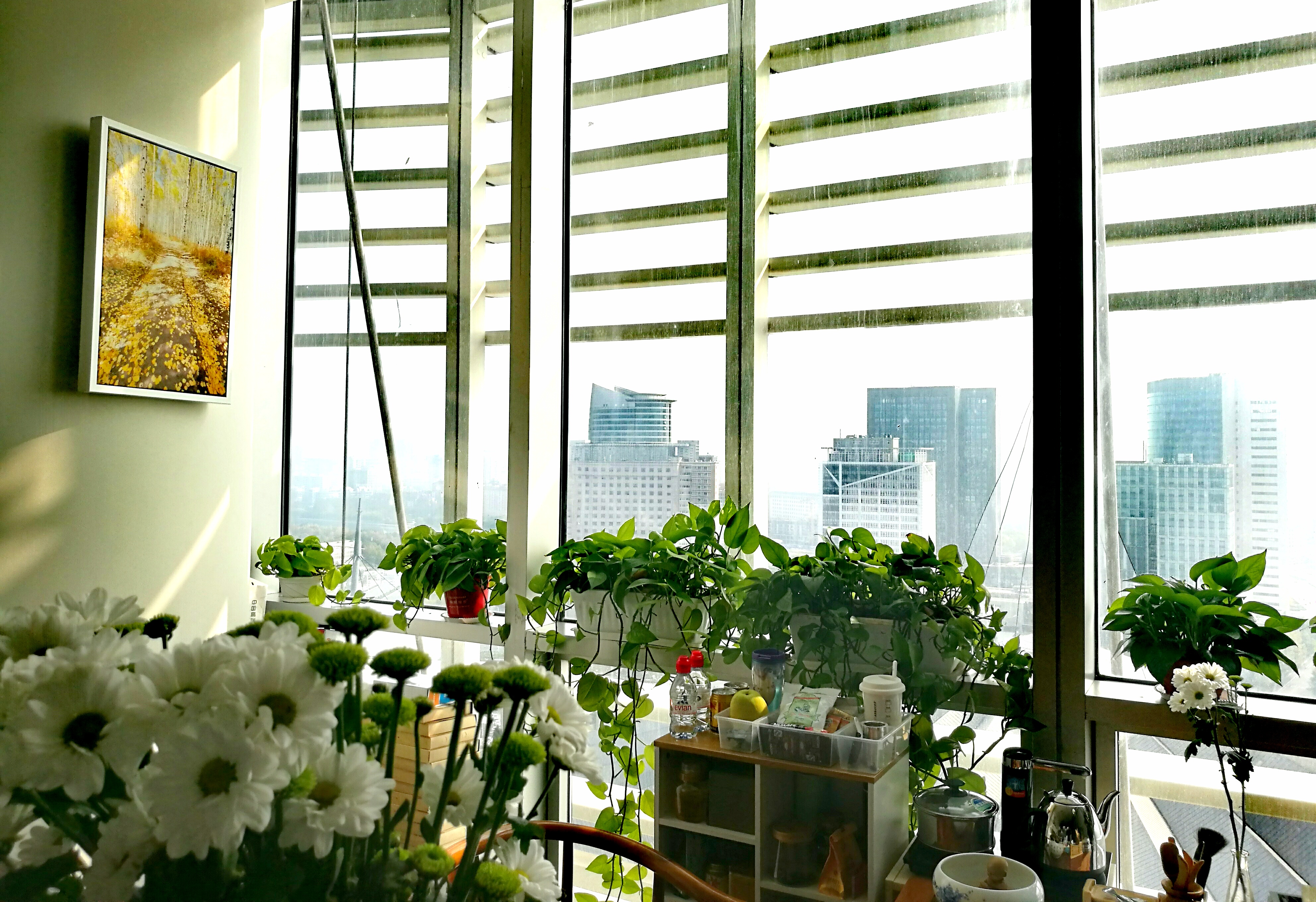 中寰創(chuàng)世（鄭州）營銷策劃公司辦公環(huán)境