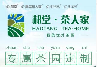 從茶園到茶杯——郝堂茶人家開啟定制時代的共享經(jīng)濟